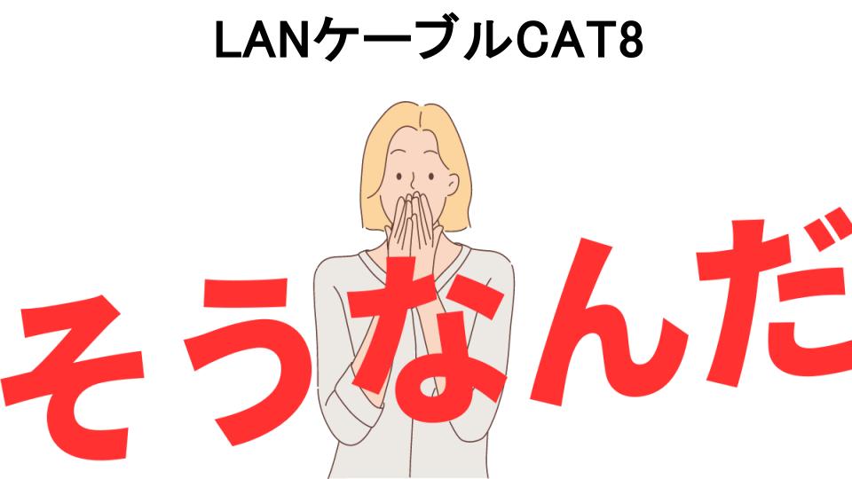 意味ないと思う人におすすめ！LANケーブルCAT8の代わり